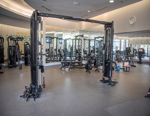 Step into the gym and leave with a stronger you - Island Recreation Club