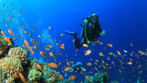 Scuba diving: breathe deeper, discover a world below the surface - Water Sports
