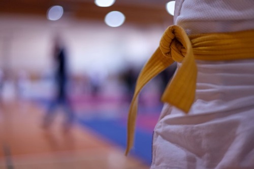 The dojo: every step in is a step up - Harbor Sports Club