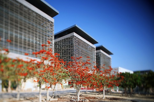 Office of the Registrar