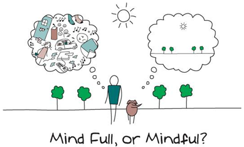 Mindfulness