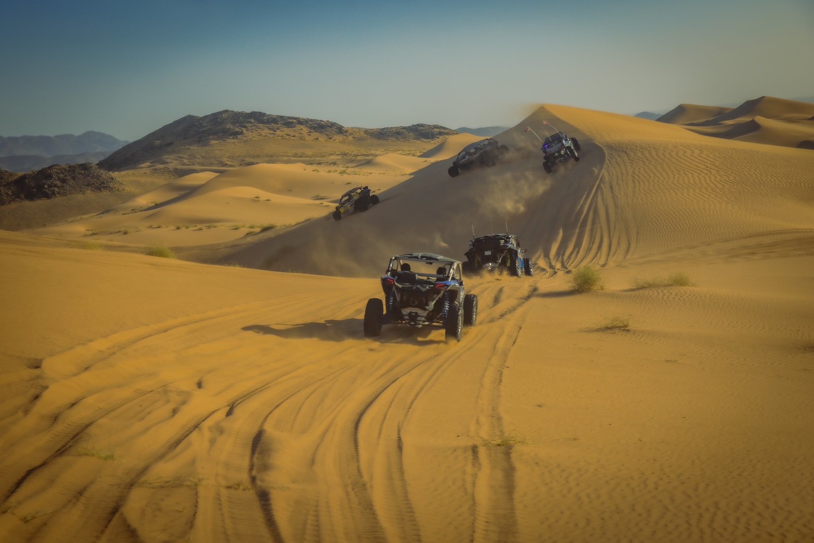 53537497222_4953ca5f9b_k