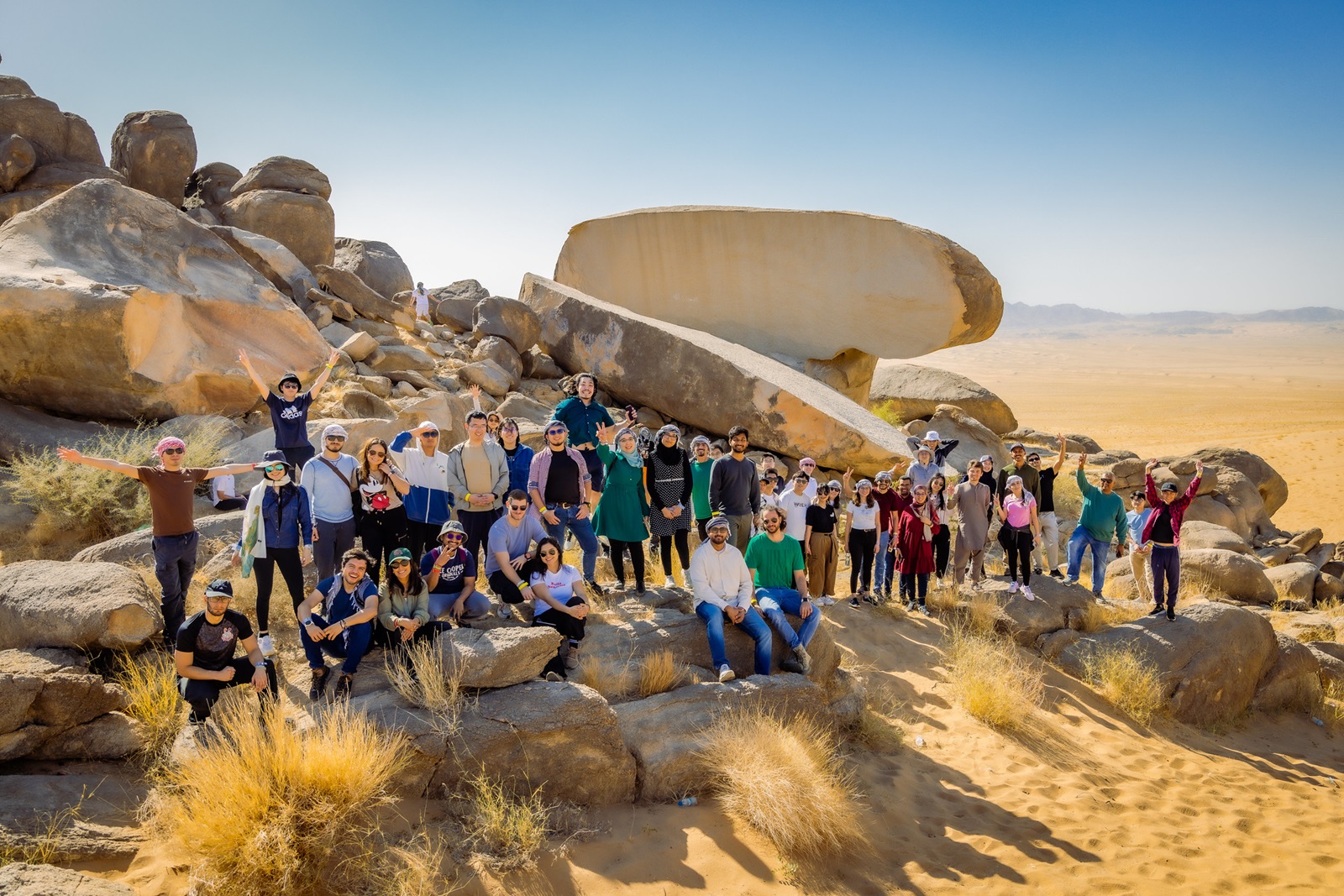 53537537632_783b129311_k