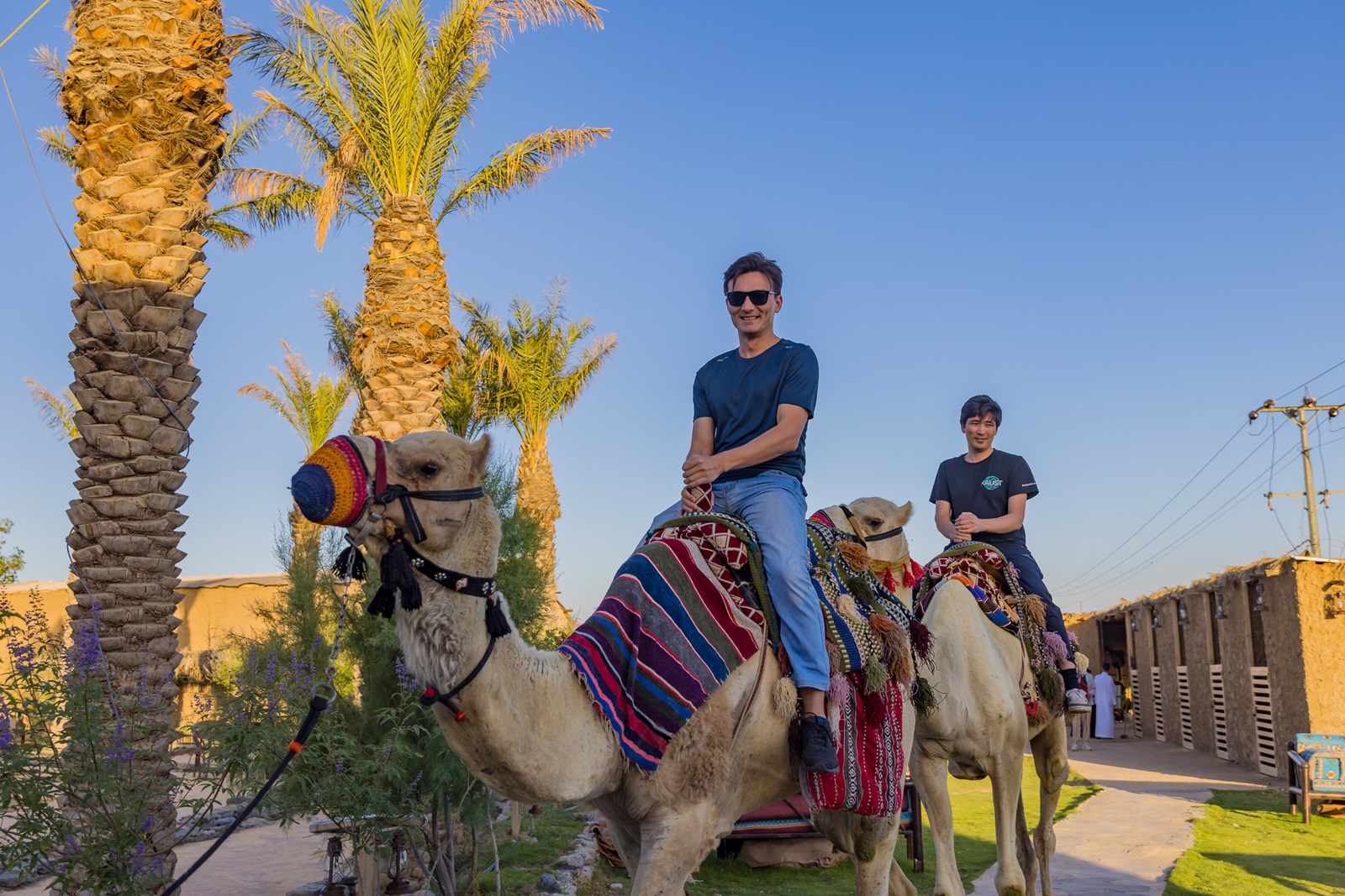 53698407125_0d348db4e2_k