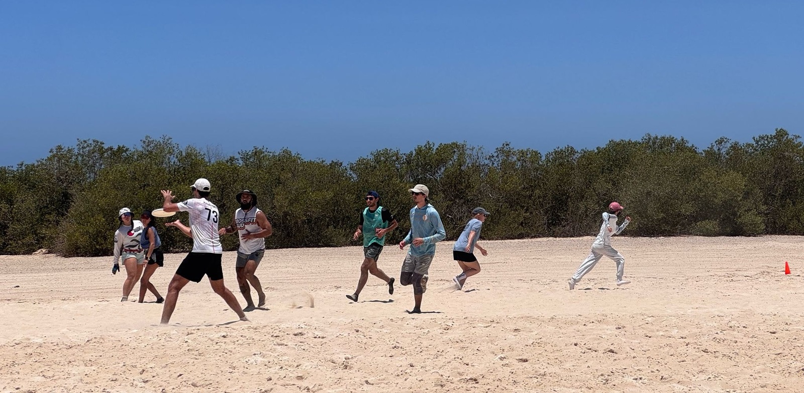 54565800607_685fe300ac_k